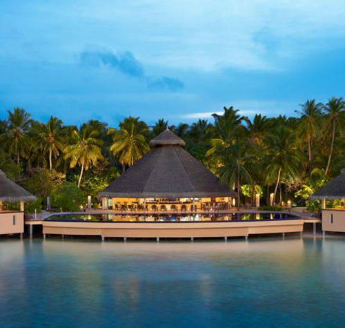chaaya reef chaaya reef